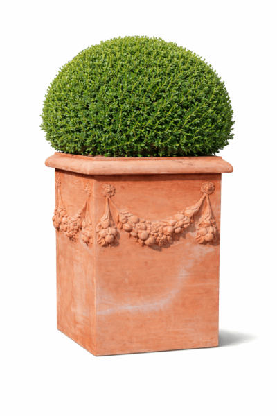 Hoher, massiver, quadratischer Blumenkasten aus Impruneta Terracotta mit Rankenverzierung